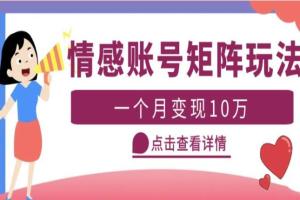 云天情感账号矩阵项目教程，月入10万 可放大（教程 素材）