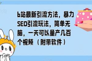 2023年b站最新引流教程，暴力SEO引流玩法，一天量产几百个视频（附带软件）