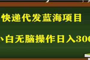2023最新蓝海快递代发项目，小白零成本照抄也能日入300