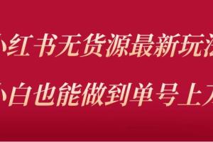 小红书无货源最新螺旋起号玩法（价值3980元）