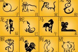 权俞通·生肖神数与风水研修班（50集）