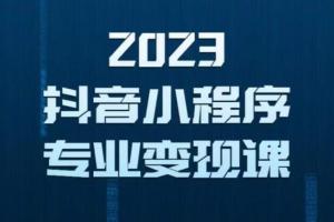 2023年最新抖音小程序变现保姆级教程，0粉丝、不实名，第1条视频就有收入