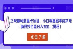 正规暴利流量卡赚钱项目教程，零基础零成本无脑照抄也能日入300
