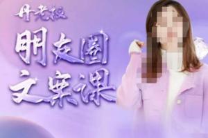 丹老板朋友圈运营文案课（百度网盘）