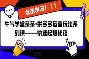 牛气学堂茶茶•拼多多快速起爆玩法系列课