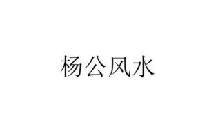 唐一琛·杨公风水案例课（41集）