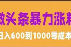 微头条暴力涨粉技巧搬运课程，简单0成本，日赚600【揭秘】