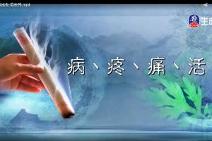范长伟·让艾传出去中医艾灸培训班课程（全集）
