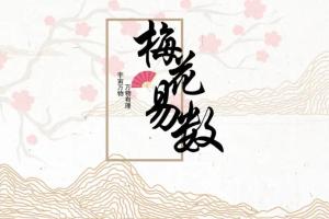 易小生·梅花易数直播课程（百度网盘）