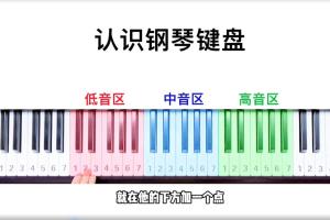 土豆钢琴·成人零基础速成课