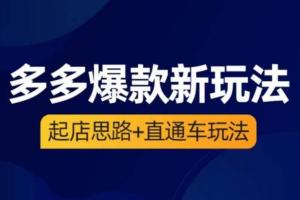 海神拼多多课程，​起店思路 直通车玩法（3节精华课）
