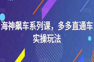 海神电商飙车系列课，多多直通车实操玩法