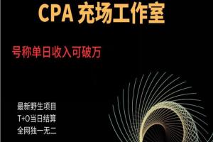 cpa充场工作室项目，号称单日收入10000 （揭秘）