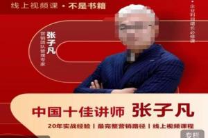 张子凡营销课·揭秘营销背后的底层逻辑，从根本上破解营销难题
