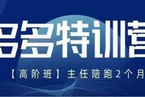 纪主任·拼多多特训营高阶视频教程(5月最新)