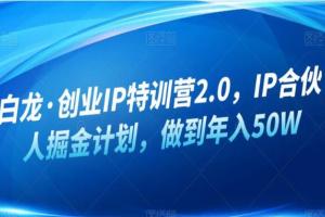 白龙·公众号创业IP特训营2.0，IP合伙人掘金计划，做到年入50W