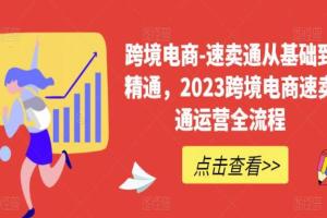 速卖通跨境电商从基础到精通课程（2023）