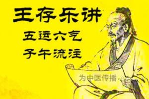 王存乐·五运六气十字诊断法课程