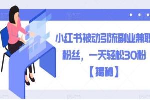 2023小红书被动引流教程（揭秘）
