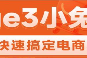 黑马Vue3 ElementPlus Pinia小兔鲜电商项目2023版（带资料）