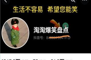 搞笑盘点大V淘淘·爆笑盘点中视频变现课程（带软件）