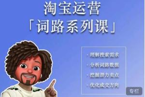 照顾酱电商课·词路篇(百度网盘)