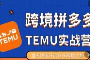 大鹏出海·拼多多跨境temu运营指导课程（开店 选品 上架）
