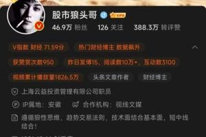 股市狼头哥炒股视频课程（连载中）