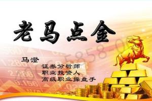 老马点金·股票涨跌基因课程