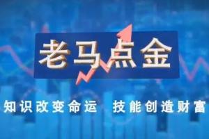 老马点金·职业操盘手的看盘与复盘技巧课