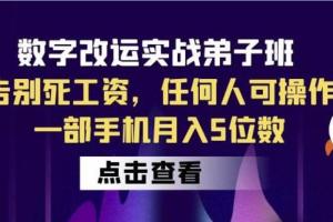 魏玲玲·数字改运实战弟子班