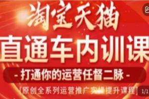 天问电商·2023淘宝天猫直通车内训课，零基础学起直通车运营实操课程