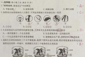 初中各科期末真题卷合集（1000张）