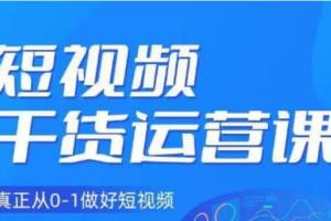 小龙社长·短视频运营陪跑课