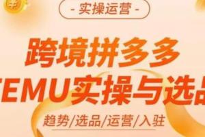 伍跃·跨境电商拼多多TEMU实操与选品课程（​趋势/选品/运营/入住）