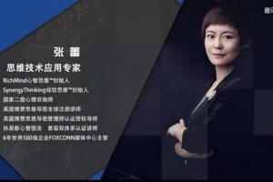 思维技术应用专家张蕾·23堂思维导图课