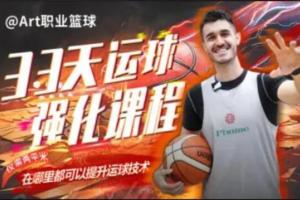 art职业篮球33天运球强化课（百度网盘）
