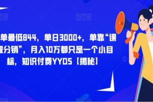 课程分销赚钱项目教程：月入10万都只是一个小目标，知识付费YYDS（揭秘）