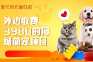 收费3980的同城萌宠项目教程，用最冷门的玩法冲击最热门的市场【揭秘】