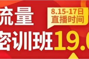 秋秋线上流量密训班19.0（百度网盘）