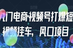 九门电商·视频号打爆短视频挂车风口项目