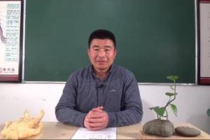 王国华·中医小儿穴位贴敷疗法