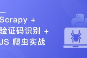 Python分布式爬虫与JS逆向进阶实战课程