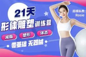 Rosie·21天减脂塑形私教训练营