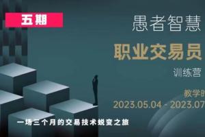 愚者智慧·职业交易员训练营第五期（百度网盘）