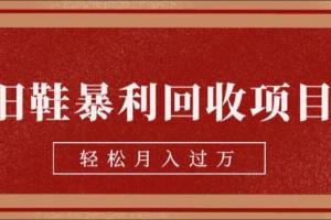 旧鞋暴利回收项目，轻松月入过万，详细教学视频【揭秘】