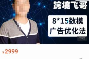 跨境飞哥·​8*15数模广告优化高阶课（第二十三期）