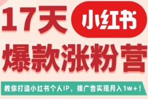 17天小红书爆款涨粉营，教你快速打造小红书博主IP（广告变现方向）