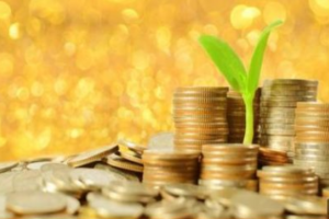 小飞大侠股票训练营3期