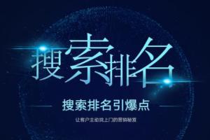 王通seo教程_教你快速掌握各个搜索引擎排名算法